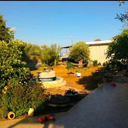 Ferienwohnung בחצר של טובה Hazon Exterior foto
