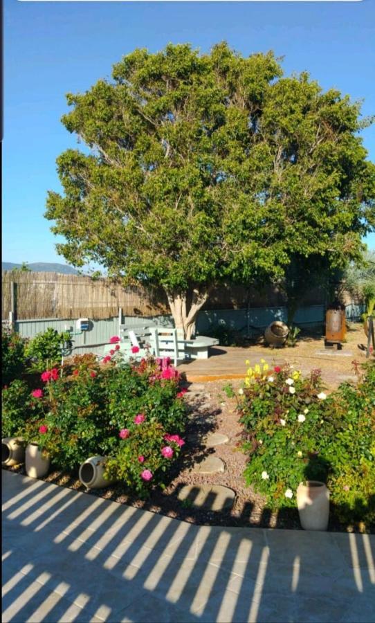 Ferienwohnung בחצר של טובה Hazon Exterior foto