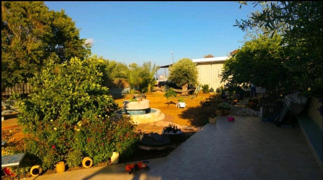 Ferienwohnung בחצר של טובה Hazon Exterior foto